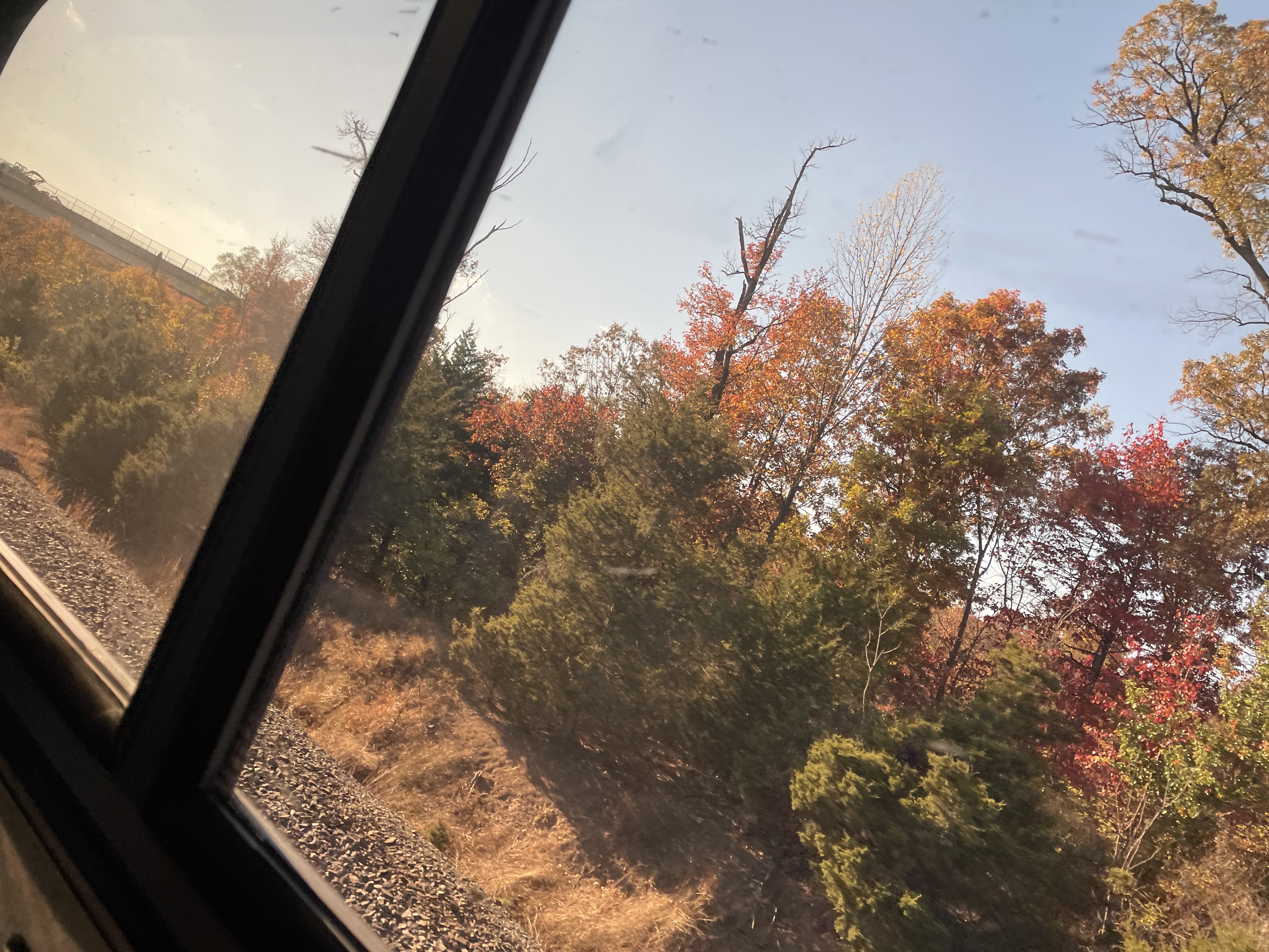 Taking the Amtrak to New York