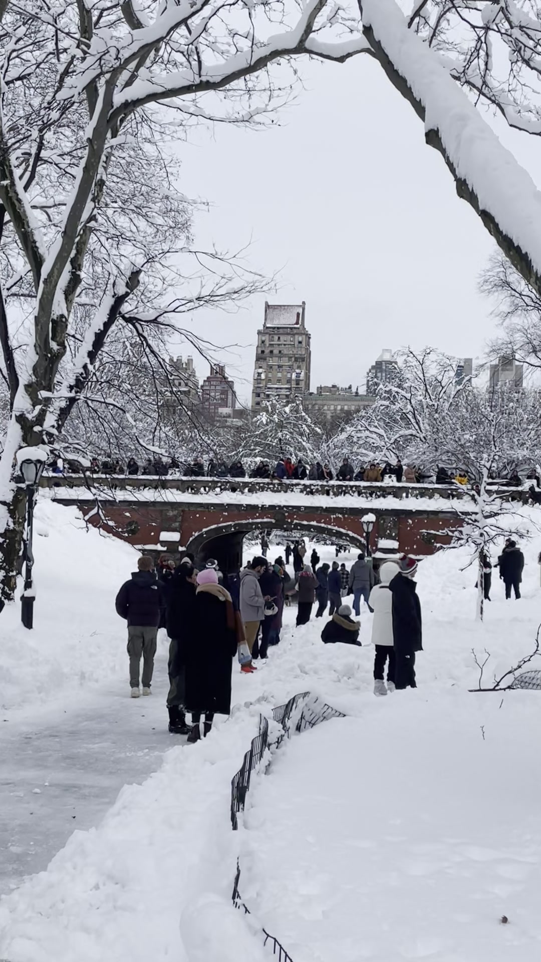 Snowmaggedon New York